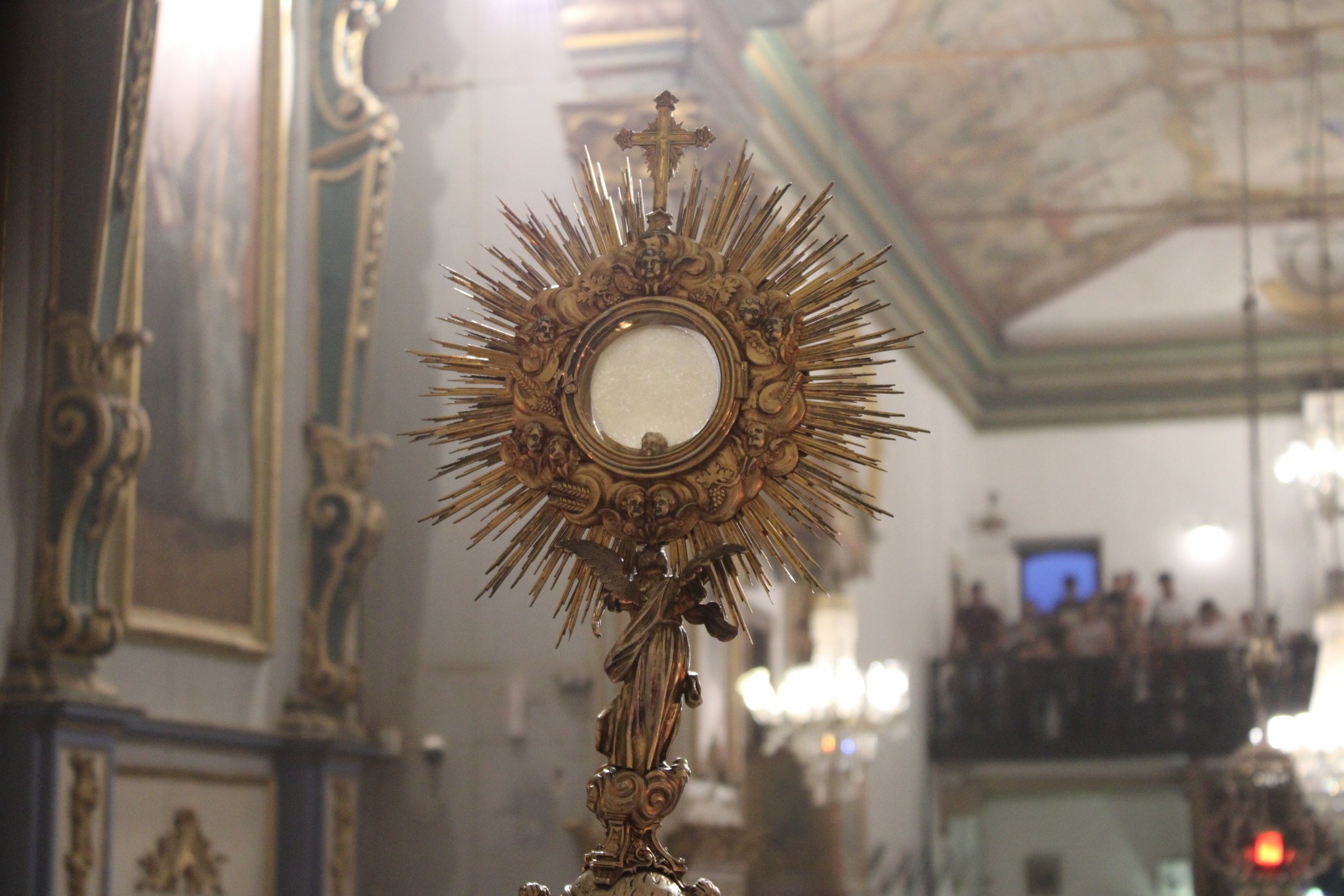 487464773_986656716915776_8021828064541315042_n