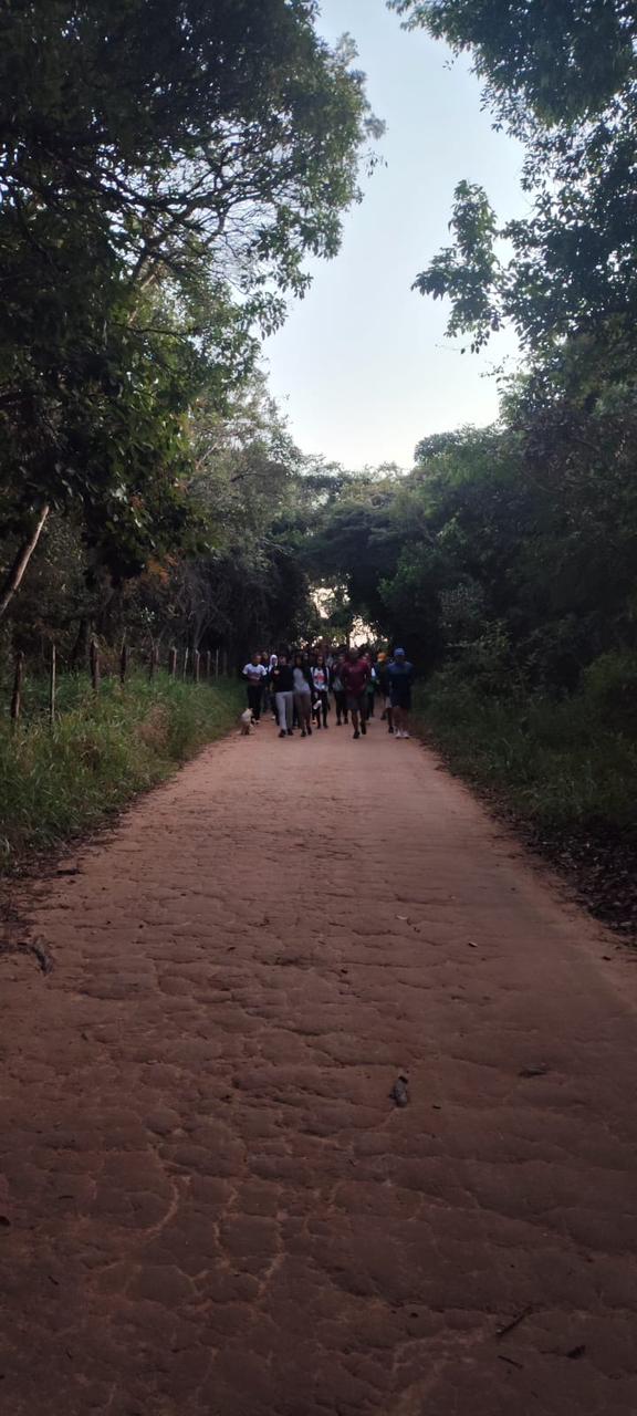 ff92cba6-4571-47a5-a7f3-8b00d25a38ad