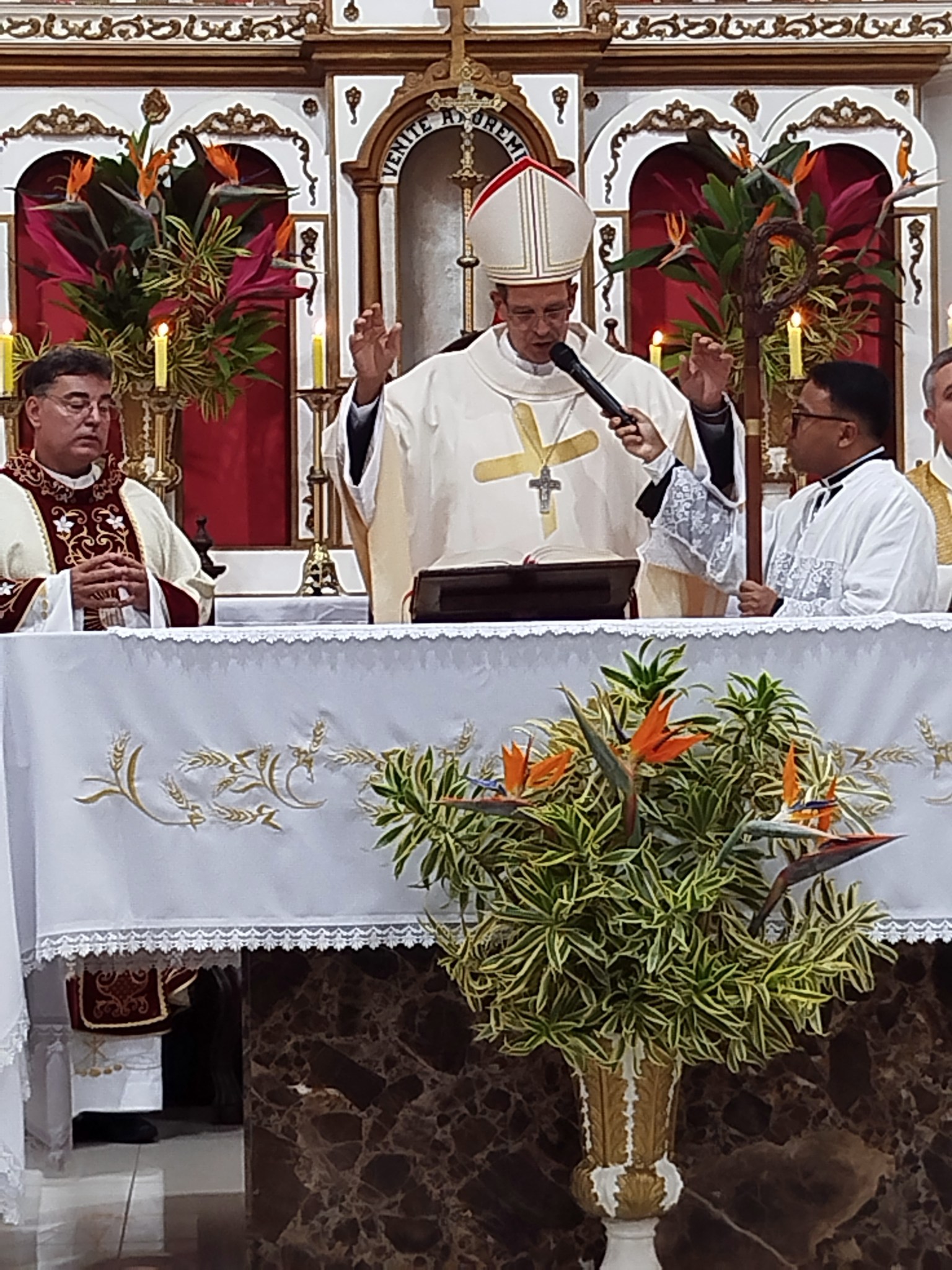 495091117_696170456395815_8176194859840665618_n