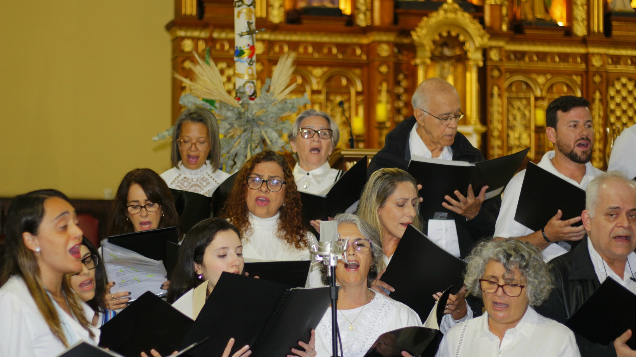 502838461_1158443546319483_7630209499209143899_n