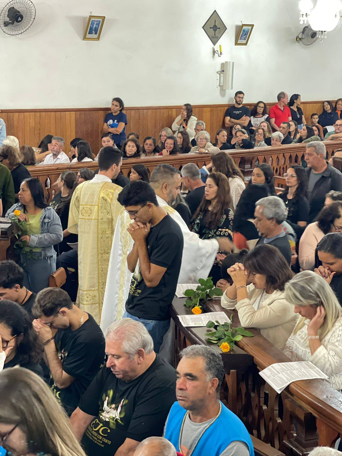 501041575_1032632262377845_9202660649502031098_n