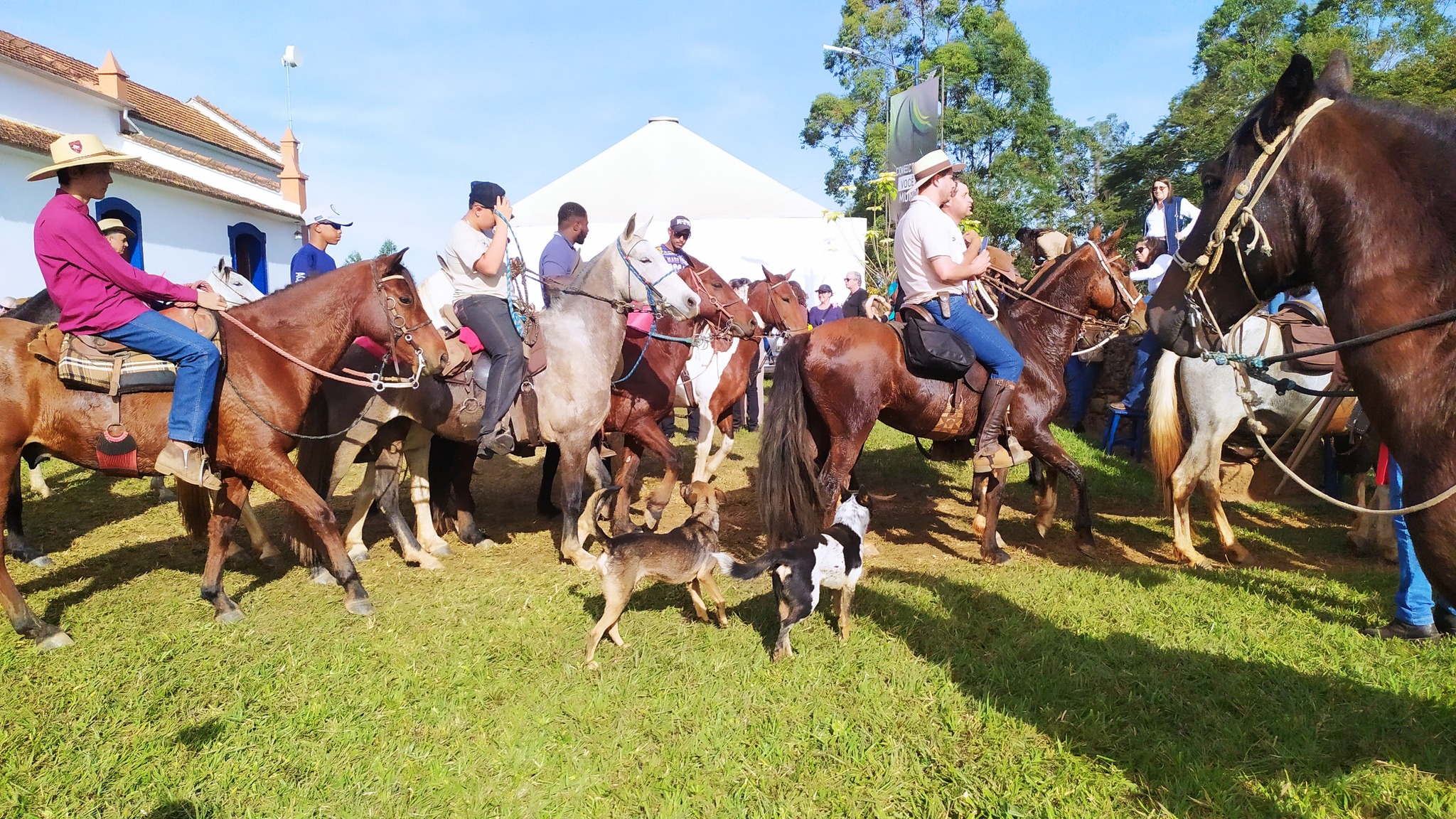 505007513_2202973910152123_7258698791462615152_n