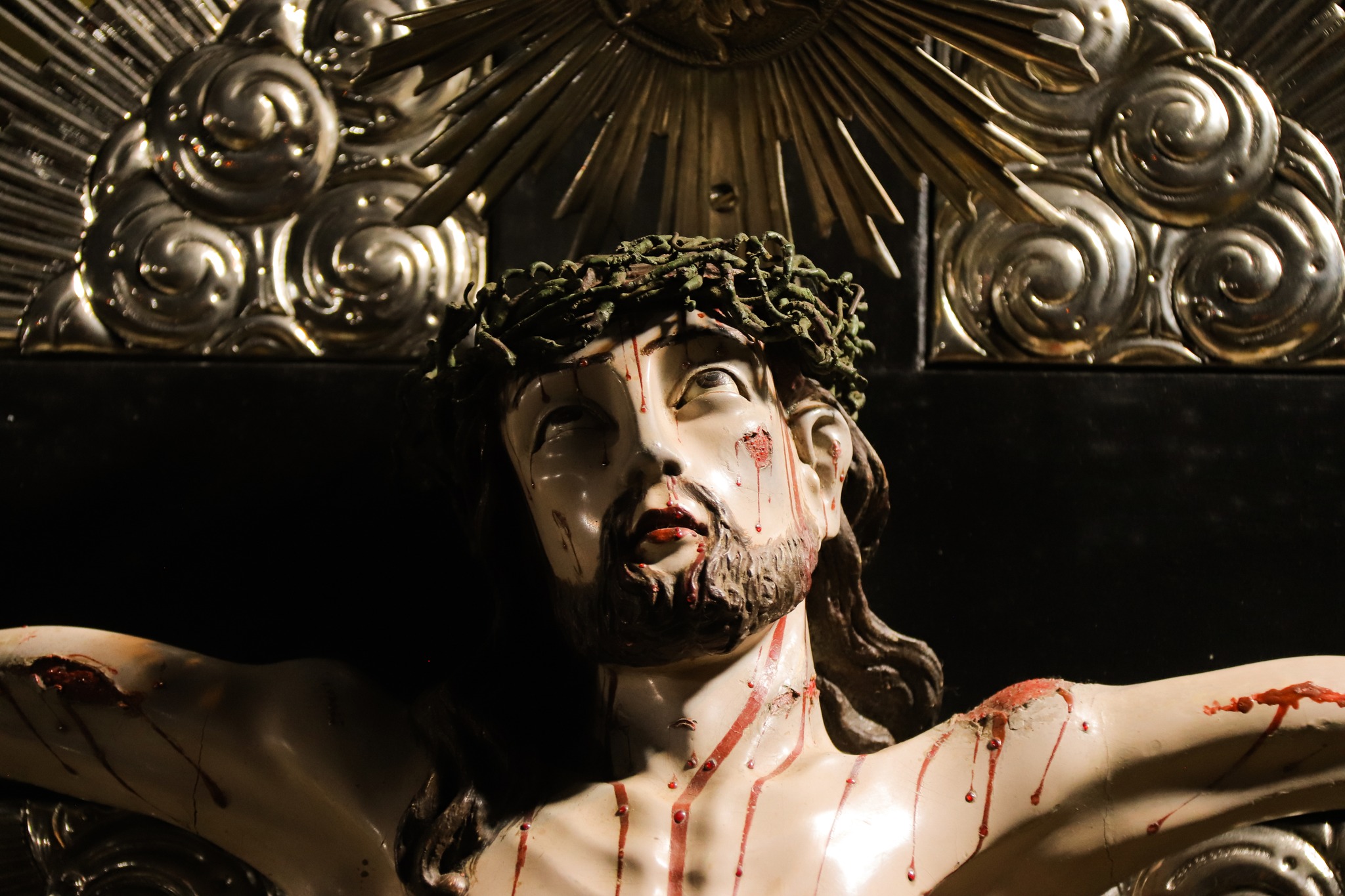 509942329_3649817151822198_2881434395134737222_n