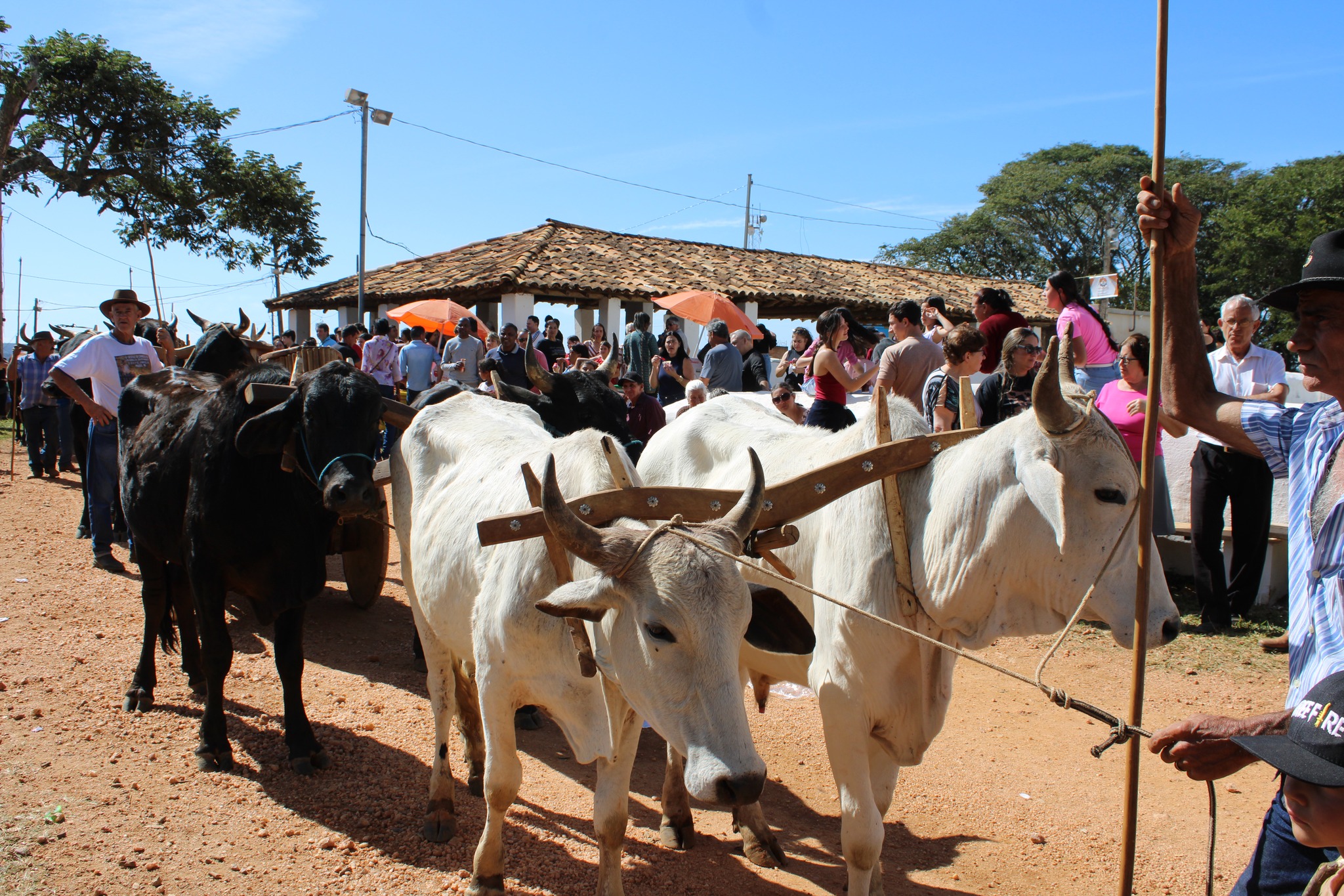 510084975_1047446587503455_8847367071966173998_n