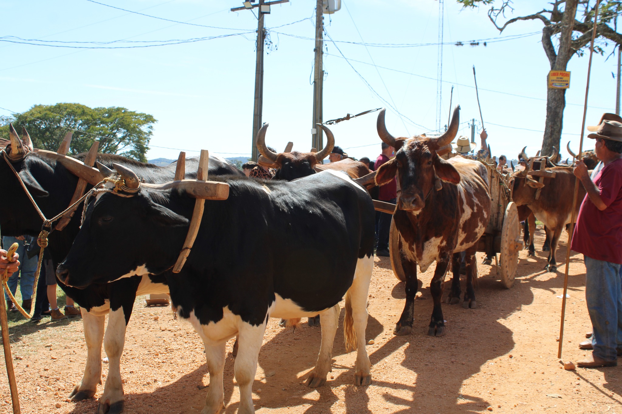 510397064_1047449097503204_4084950762774420991_n