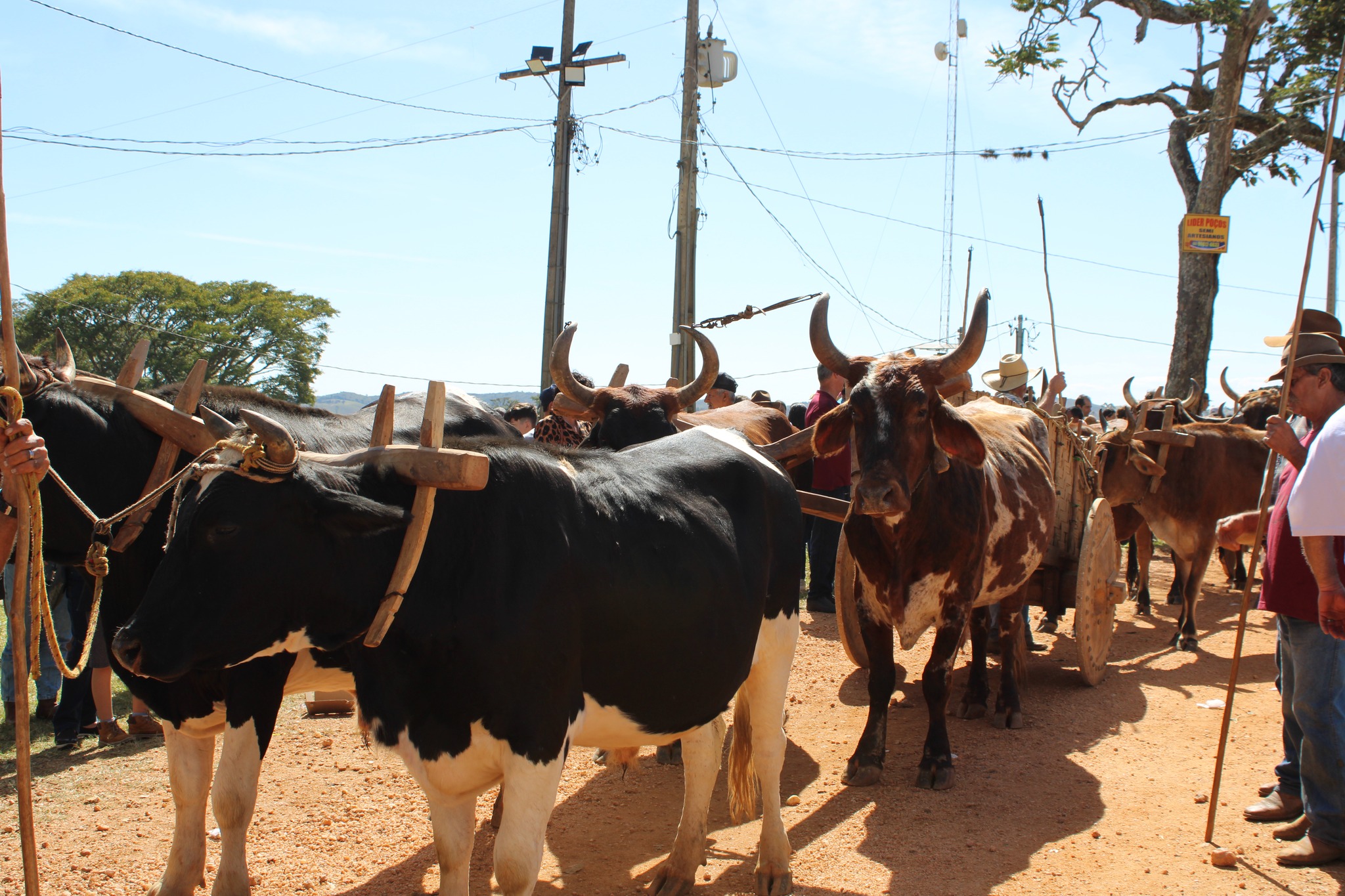 510398502_1047448977503216_871320990827489626_n