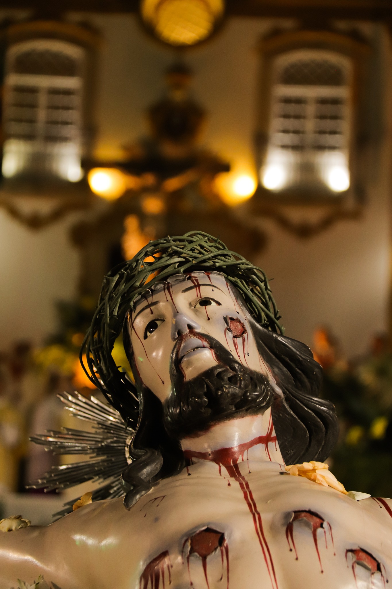 510449815_3649817125155534_20814209010595317_n