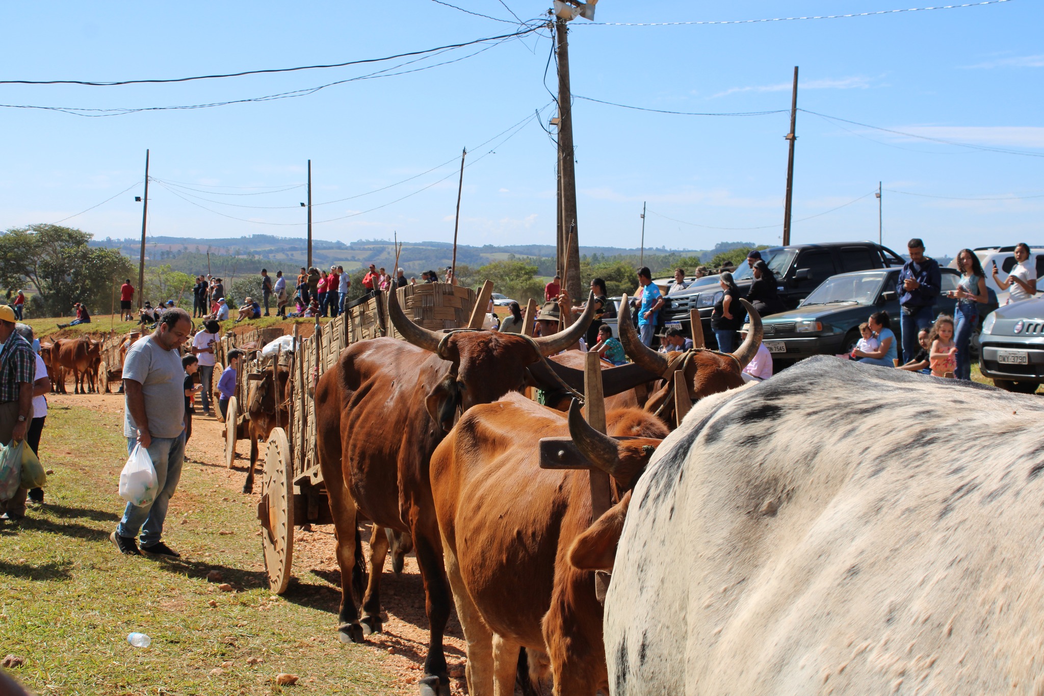 510494295_1047447354170045_5446755024559622039_n