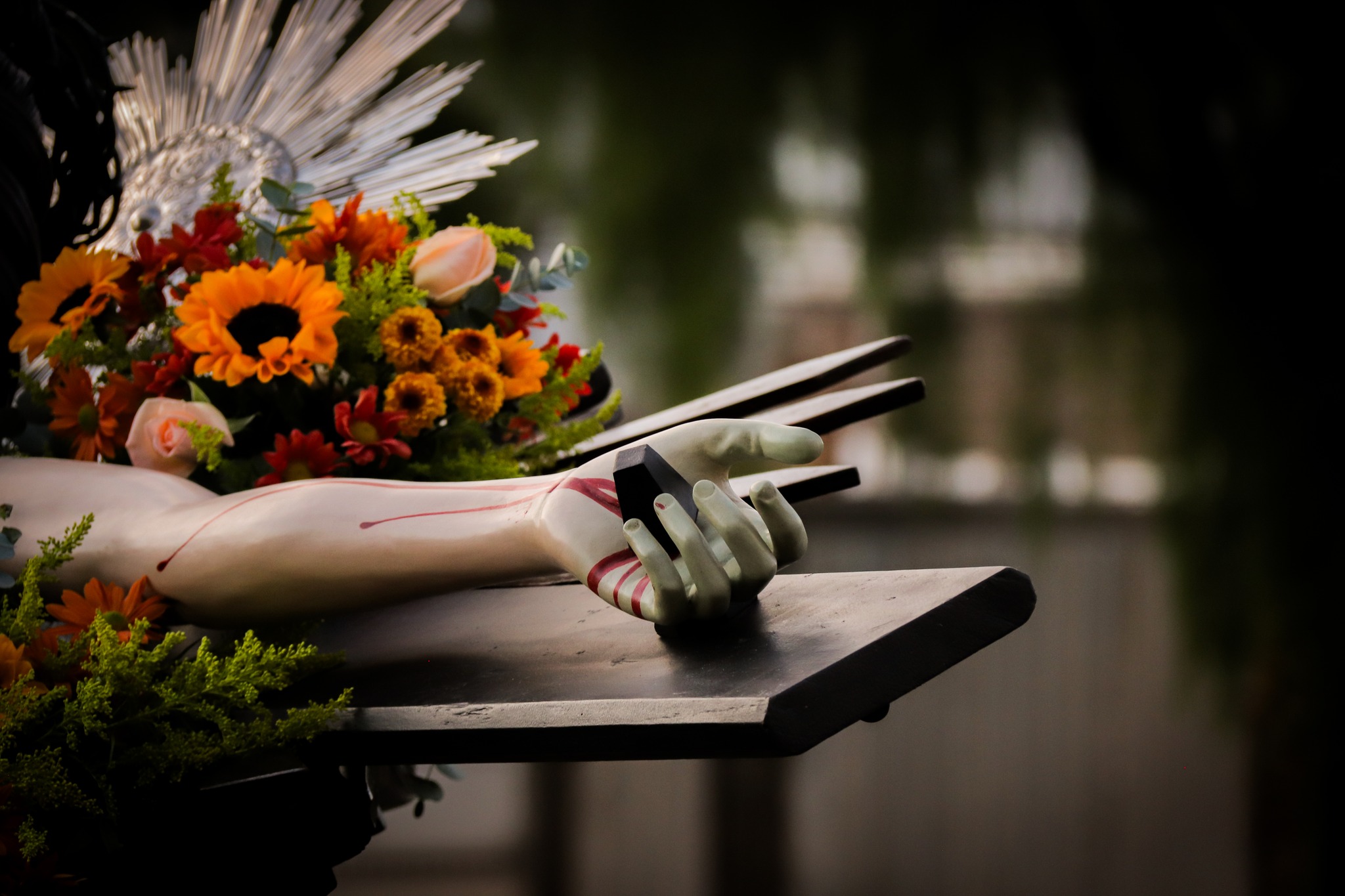 510958183_3649813668489213_5112120215331719376_n