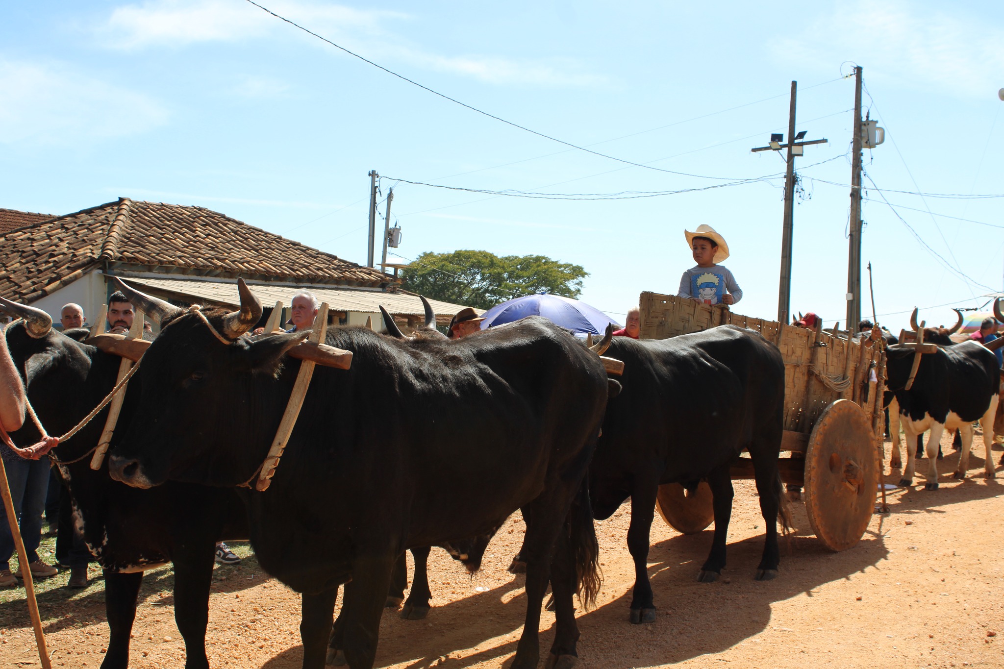 511027890_1047448954169885_254429731827824659_n