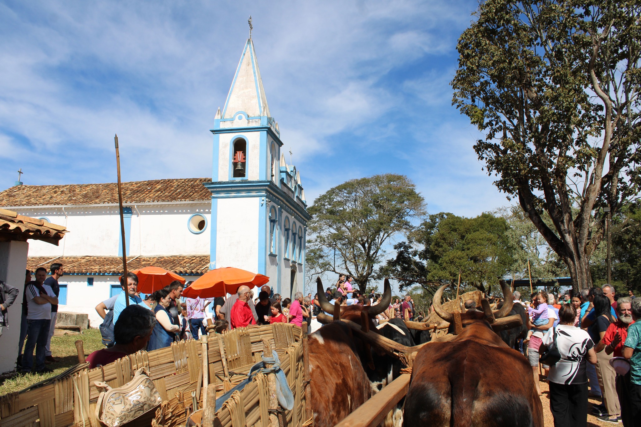 511147737_1047446574170123_1813248623389214546_n