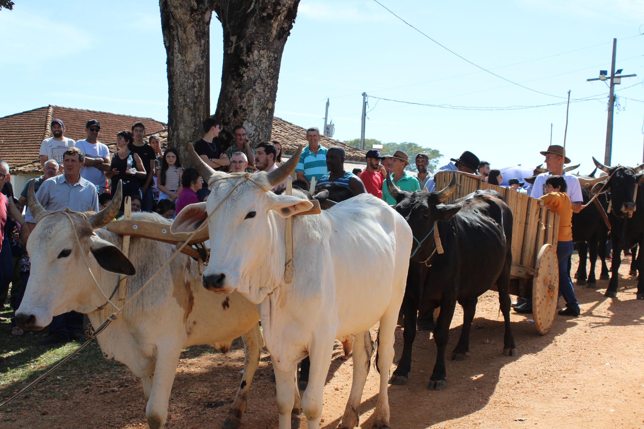 512748890_1047448950836552_4046297829326103222_n