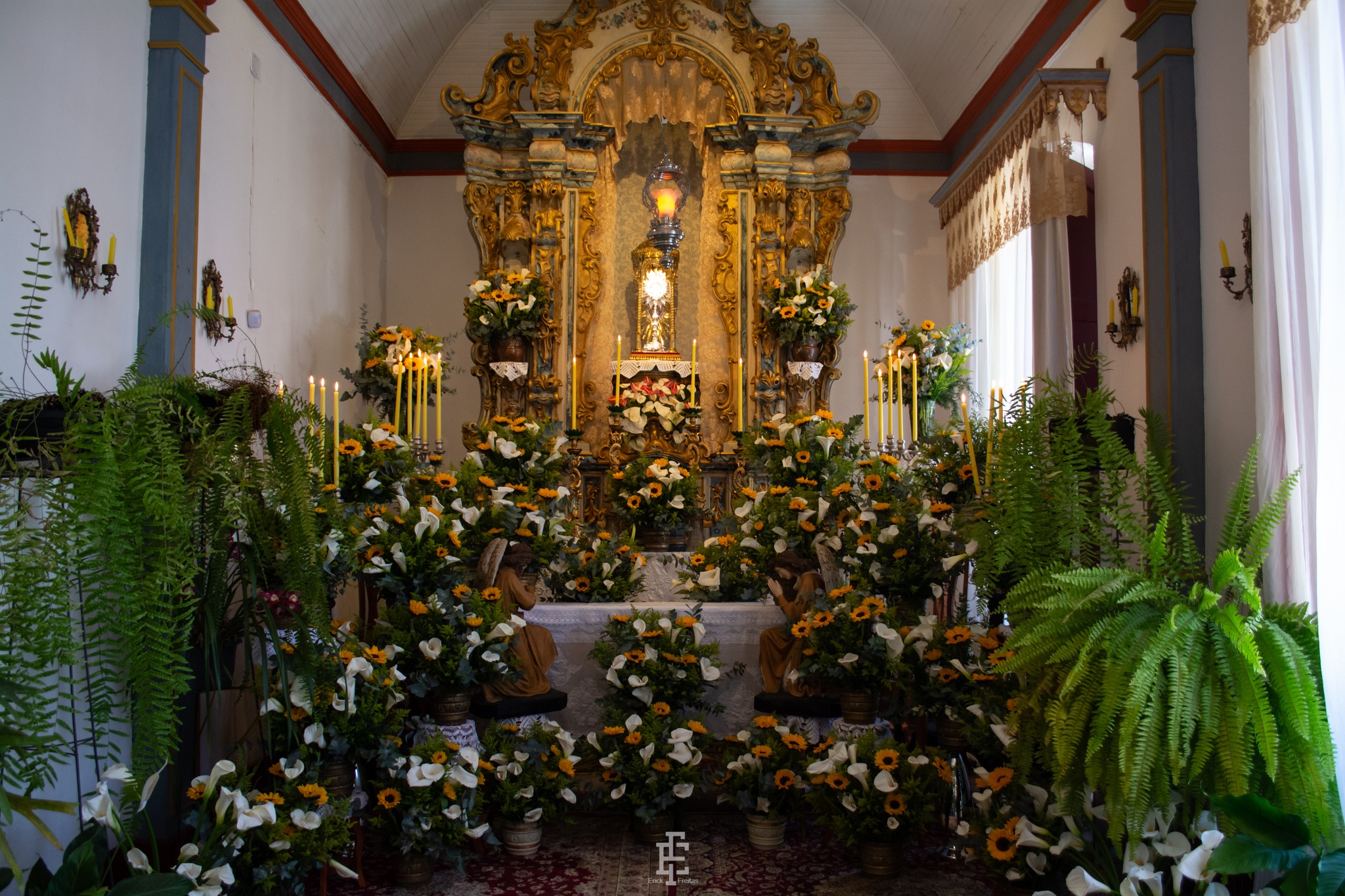 518315875_1191485623007888_4178762107007200060_n