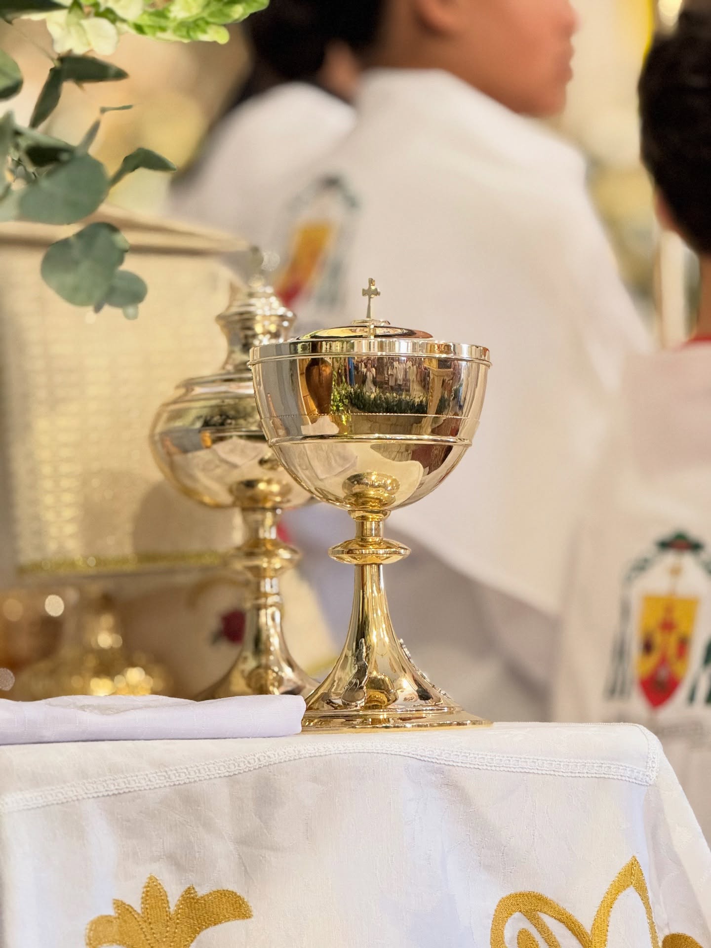 541439016_18149264728400724_4892051087361167749_n