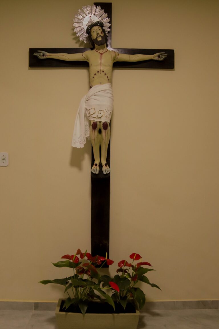 542752882_3732418480228731_5985453953779827739_n