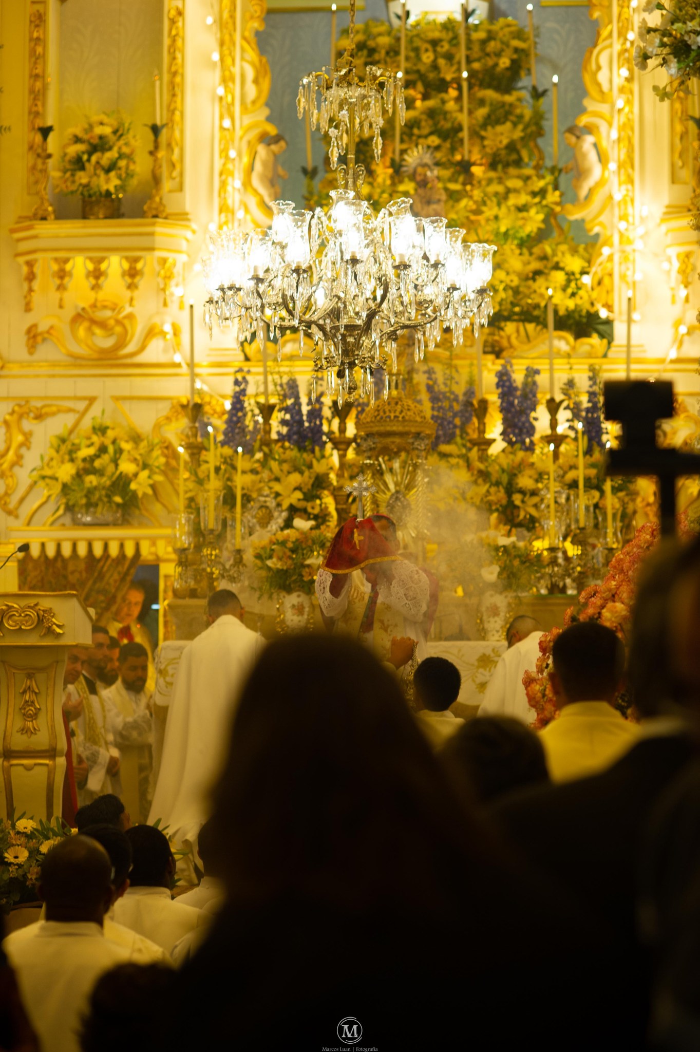 544655083_1254389613384155_6041873238827077107_n