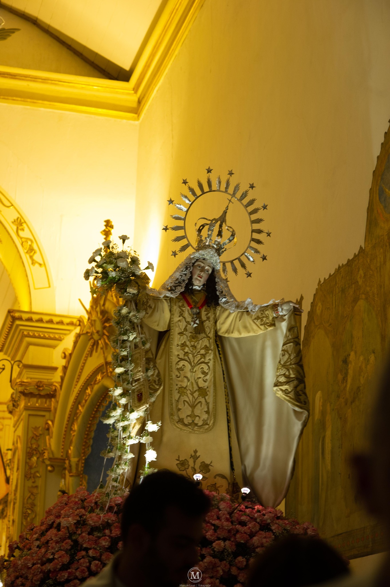 552574566_1254387936717656_1076823377029661426_n