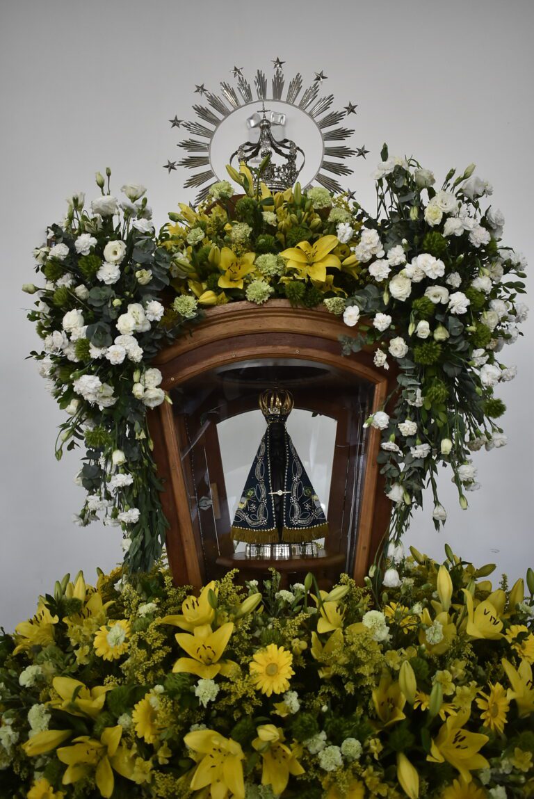 LAERCIO ALVES RIBEIRO