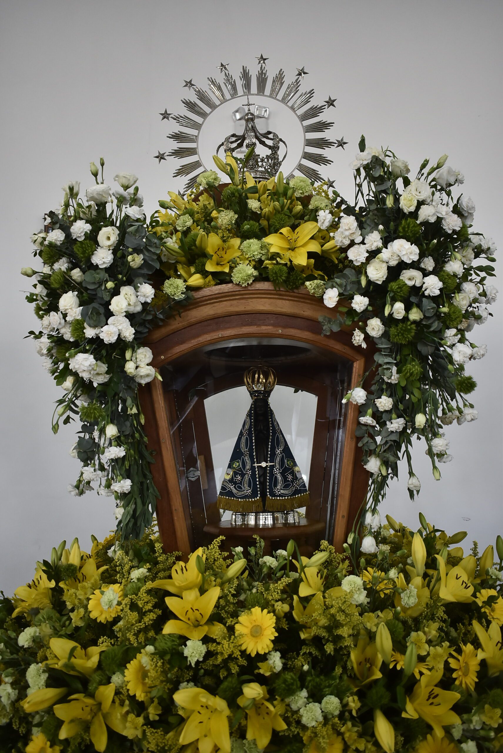 LAERCIO ALVES RIBEIRO