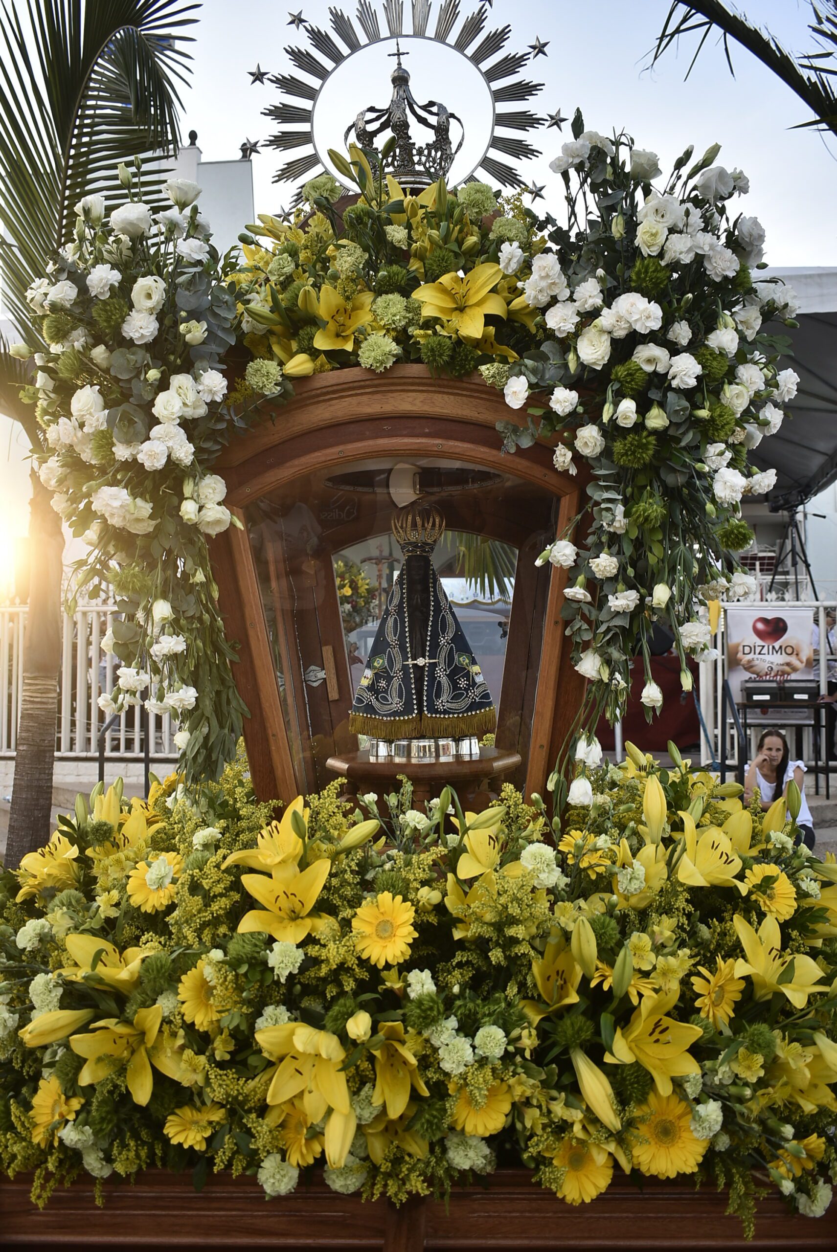 LAERCIO ALVES RIBEIRO