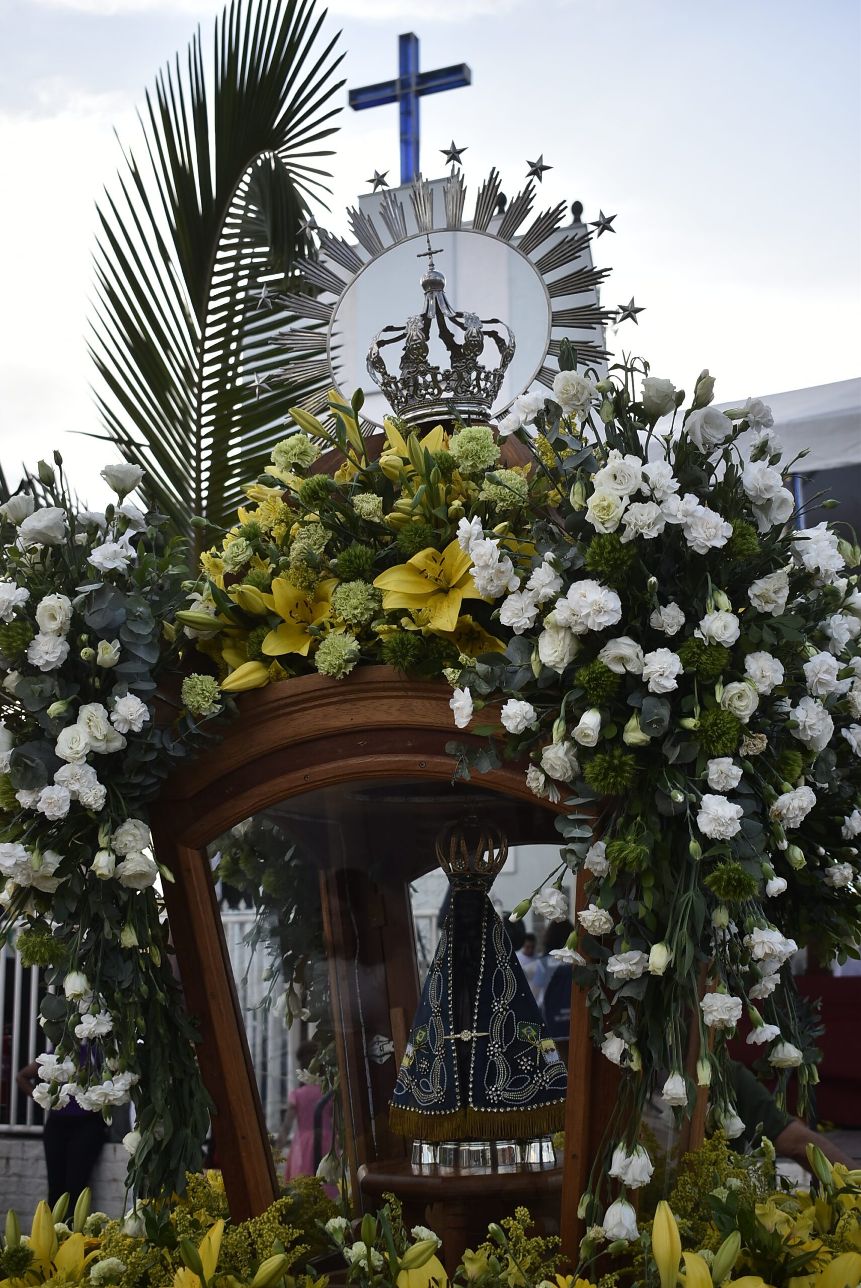 LAERCIO ALVES RIBEIRO