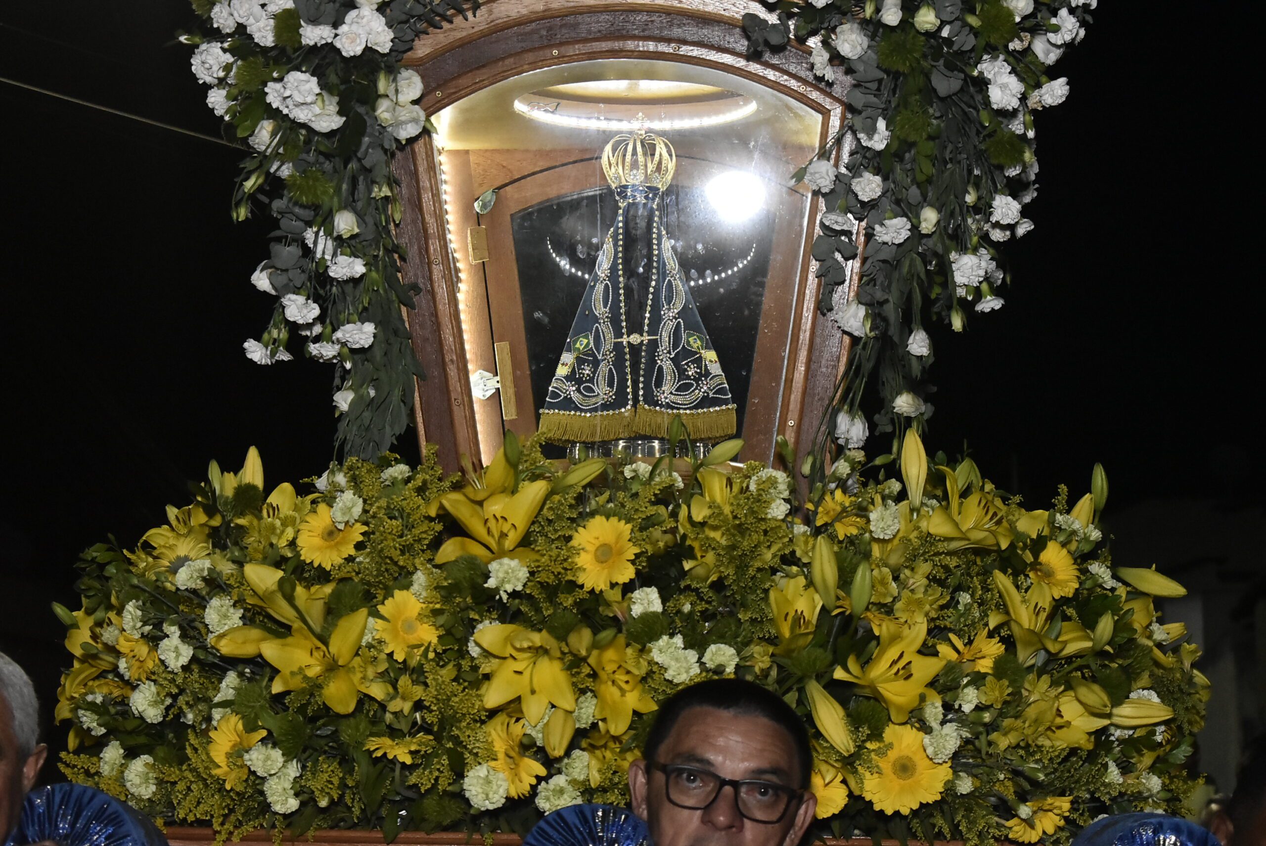 LAERCIO ALVES RIBEIRO