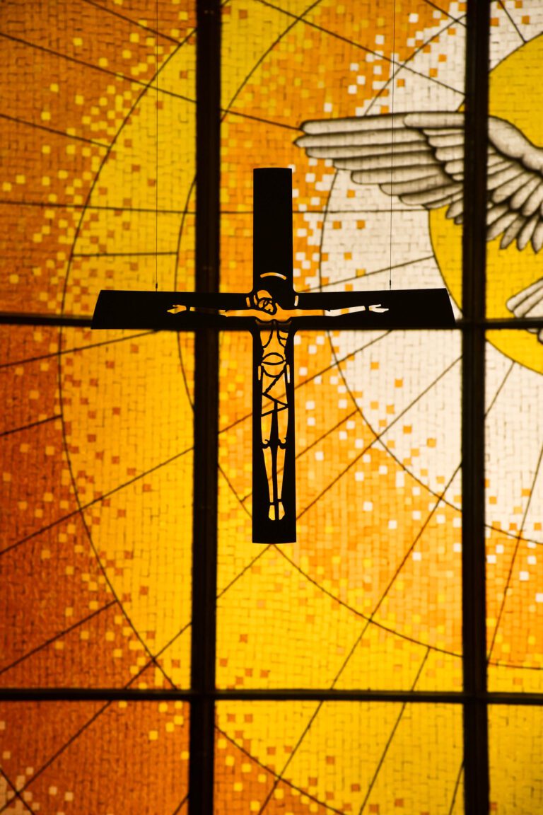 WhatsApp Image 2025-11-26 at 06.10