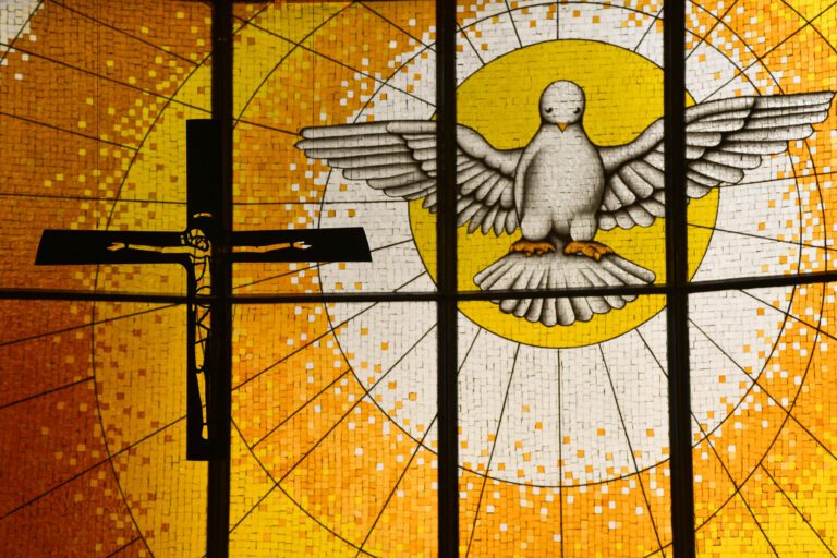 WhatsApp Image 2025-11-26 at 06.10