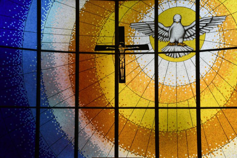 WhatsApp Image 2025-11-26 at 06.10