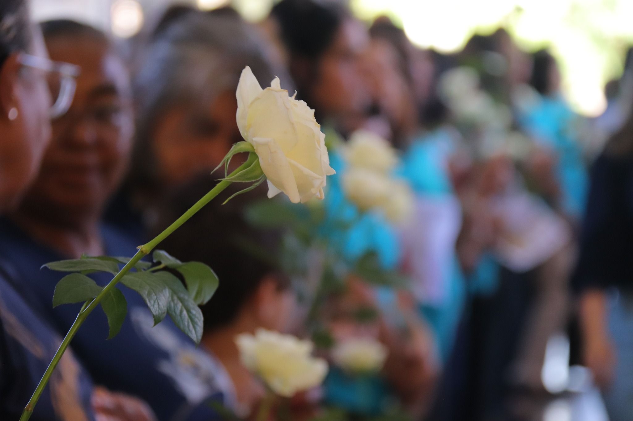 645568728_3937814759689101_7570117930148118545_n