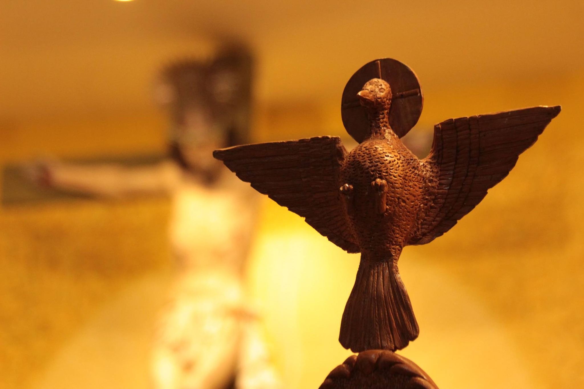 647134622_1351640387008198_1372864377513018940_n