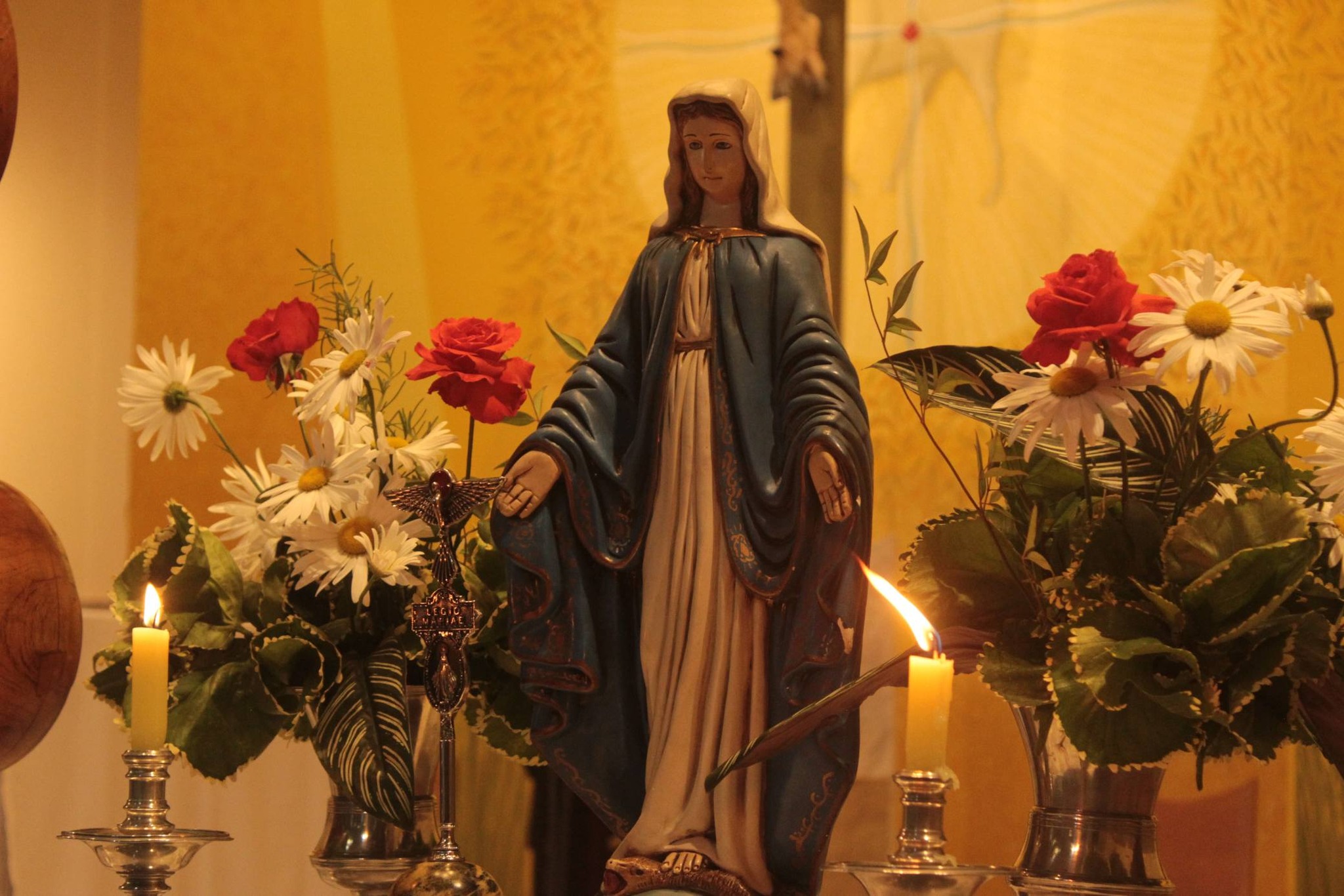 647139042_1351640217008215_4322157098791557658_n